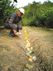 ��ʿ�������չʾ���õ�����