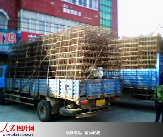 ���������е��������ݼ��������(��ͼ)