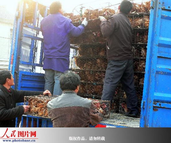 ���������е��������ݼ��������(��ͼ)