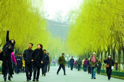 �������ξֳ����ƶ�ȫ���Թ������мƻ�