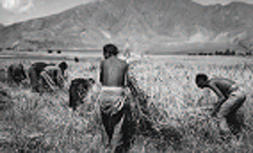 ���°죺����������ӵ�лƽ�16��������������