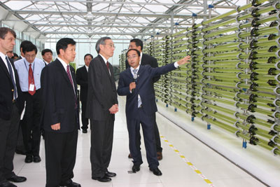 Ĳι°¼΢ƱͼҡͼƬԴ˲ƾ