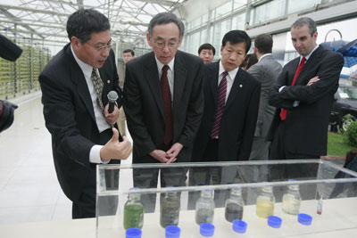 ϸ˽⡱΢̼ɹͼƬԴ˲ƾ