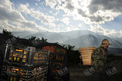 æµһ죬ӹ԰˳ȥĳӴ130֣9ƴ